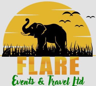 Flare Travels |   access your wallet